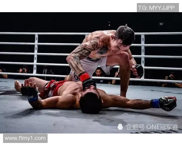 阮马丁与李凯文的巅峰对决谁将成为拳坛新王者