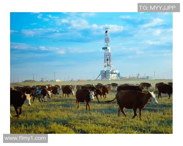 亚马尔地区能源开发与国际合作的未来展望与挑战分析