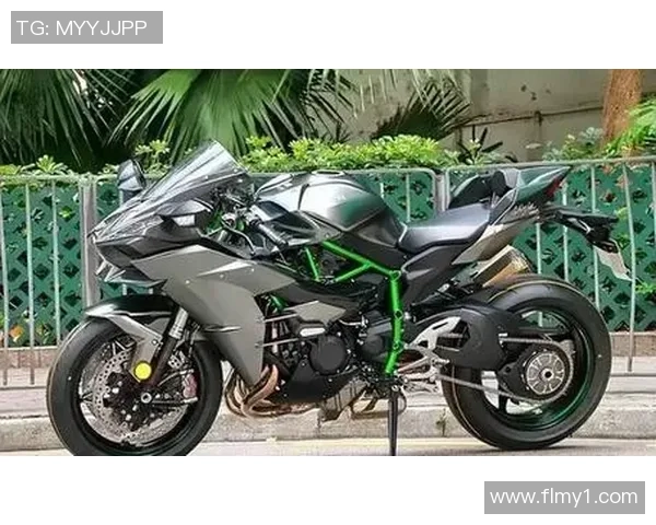 川崎先锋与新田喜悦的巅峰对决谁将赢得胜利的荣耀与未来