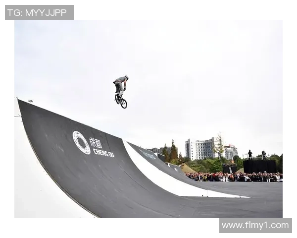 成都极限运动队现状分析与未来发展展望专题探讨MBA