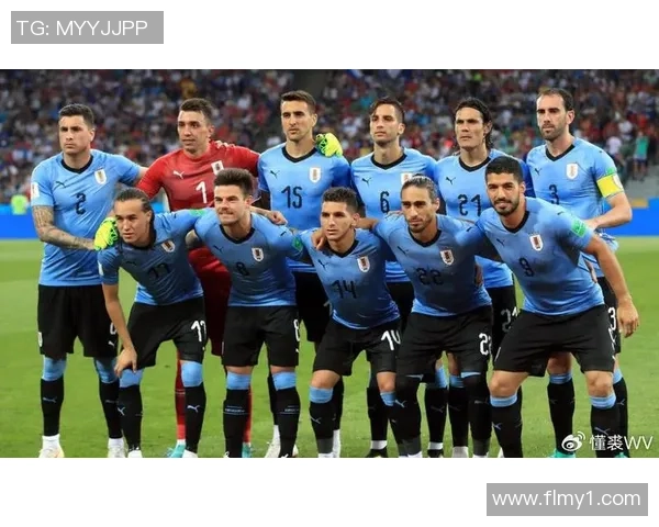 乌拉圭与巴西精彩对决录像回放全程分析与精彩瞬间集锦