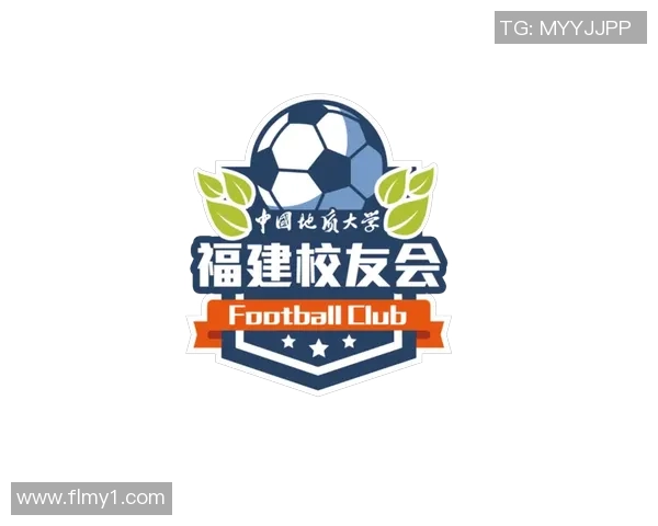 成都足球队运营新模式分析与发展前景探讨MBA 成都足球队运营新模式分析与发展前景探讨MBA