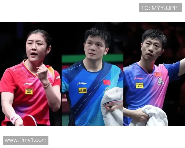马龙与樊振东的对决解析及其在乒乓球界的影响探讨