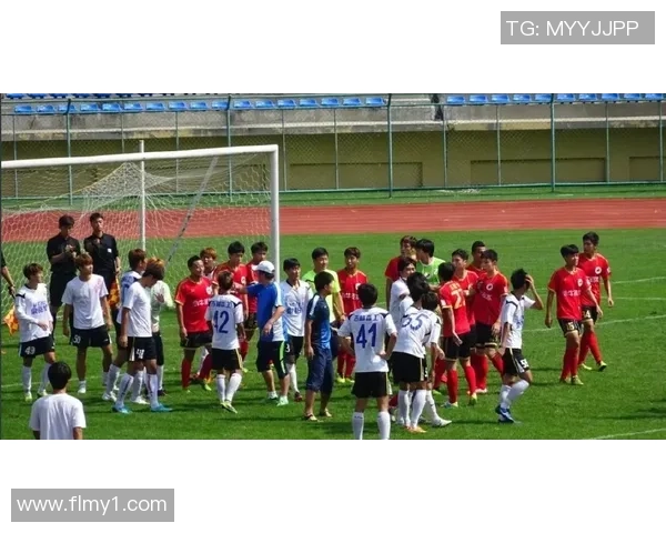 深圳飞盘队中路突破战术解析与实战应用探讨