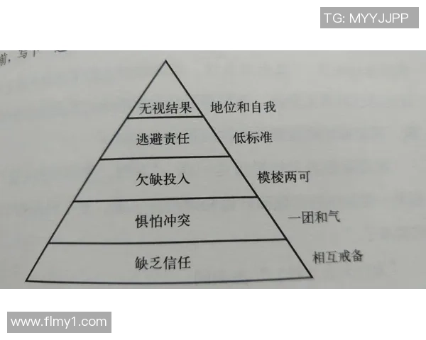 成都排球队的节奏与战术分析探讨如何提升整体表现与团队协作